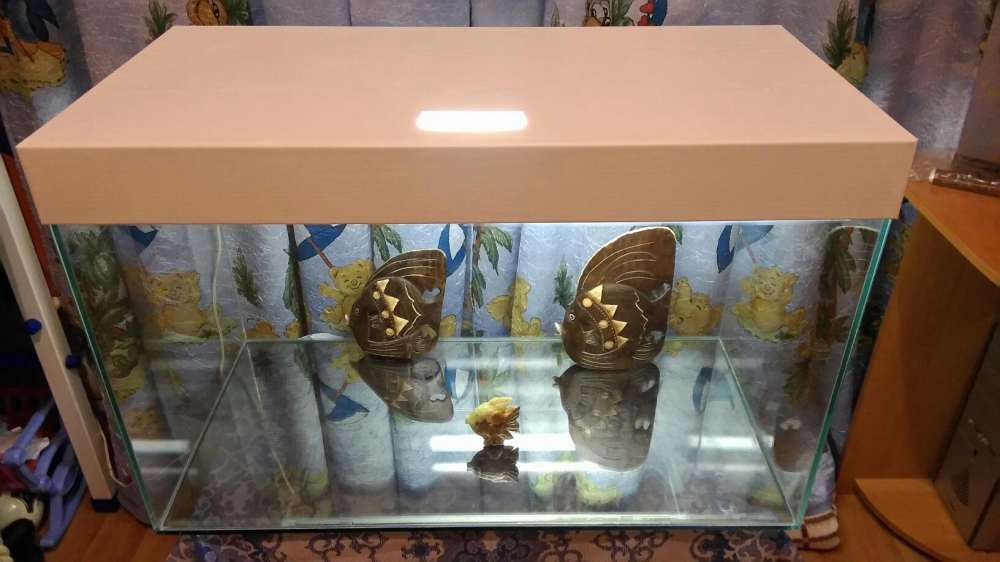 Акваріум, розпродаж