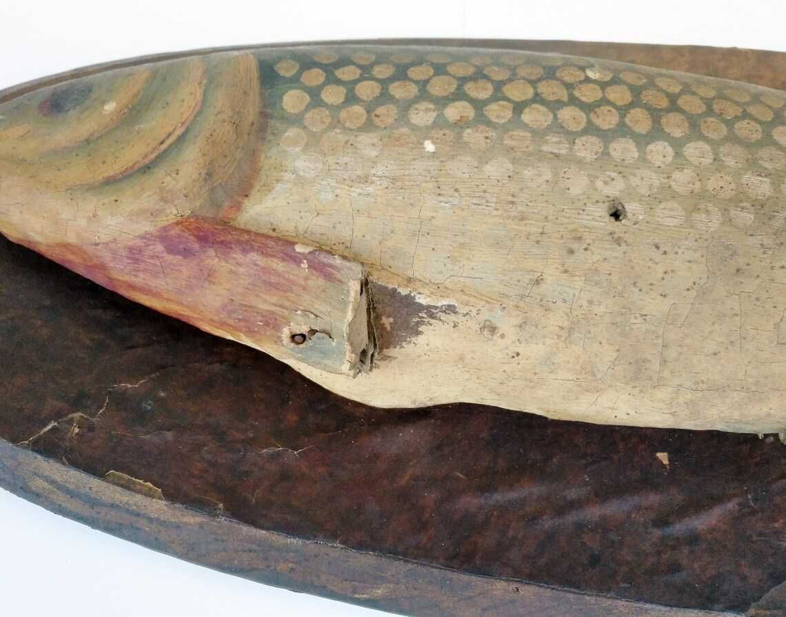Antigo troféu de pesca em pasta de papel