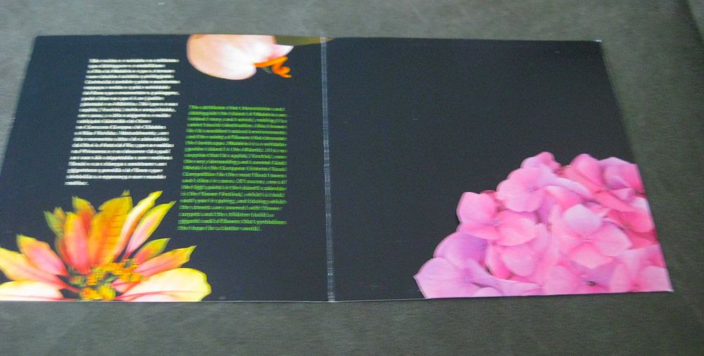 Conjunto de 3 Carteiras Temáticas Madeira s/ Selos