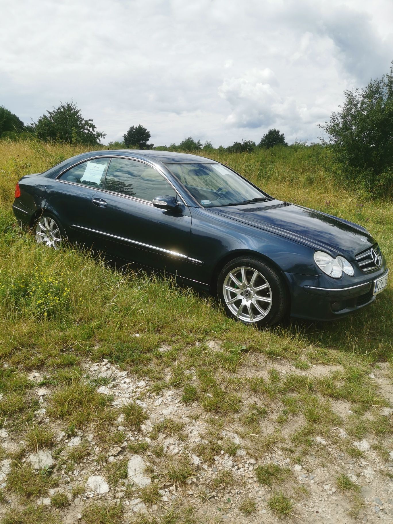 Mercedes CLK W 209 220CDI 2007r