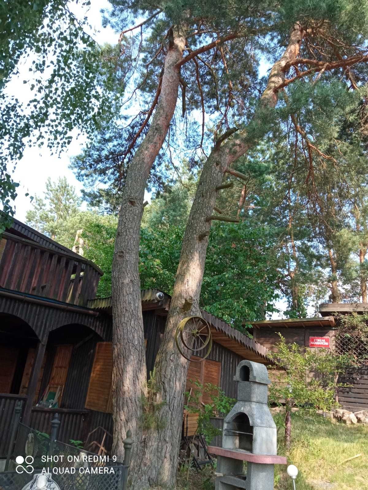 Wynajmę domek letniskowy nad jeziorem w Majdach, Warmia-Mazury