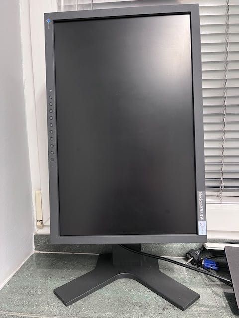 Monitor Eizo FlexScanS2001W