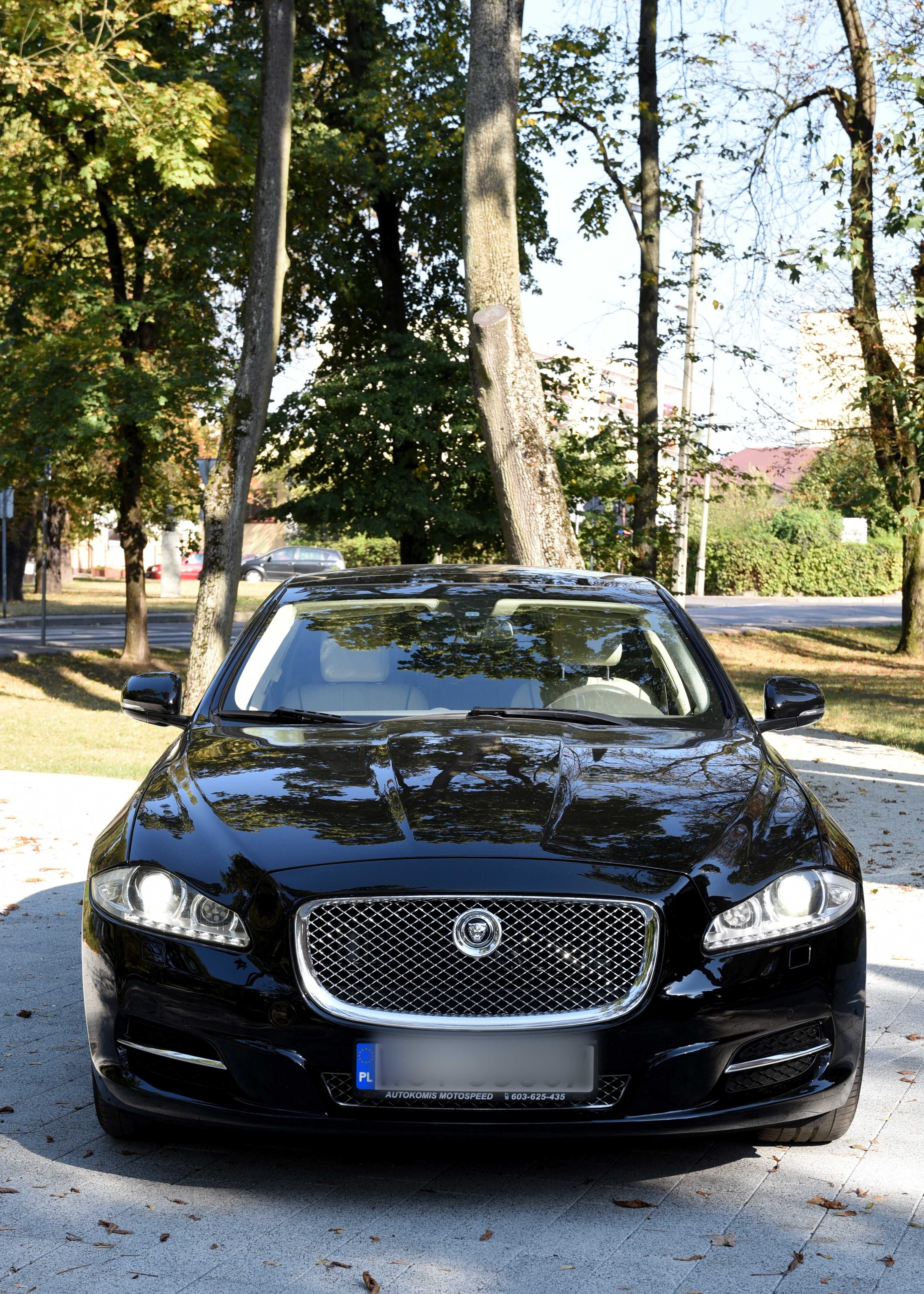 Auto do ślubu Jaguar XJ LONG