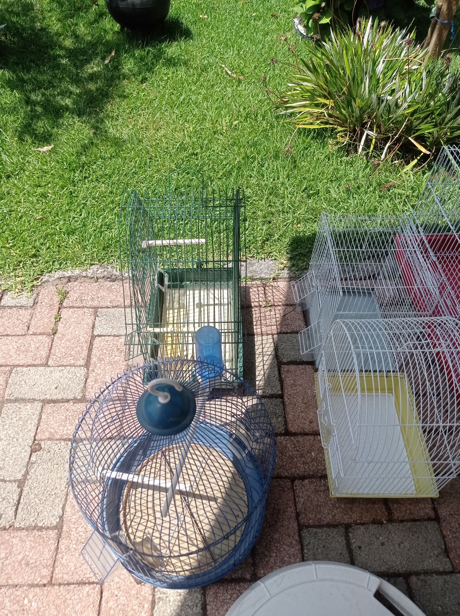 Várias Gaiolas para pássaros