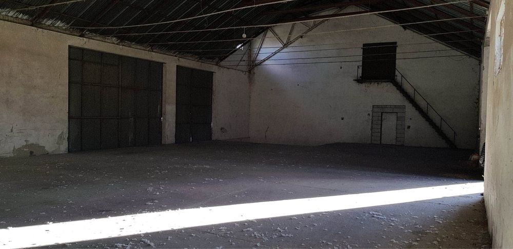 Wynajme magazyn 1000m2 a10 chodorazek obok lipna