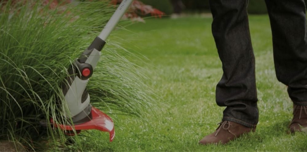 Топіарна стрижка рослин, догляд за вашою ділянкою, покіс газону