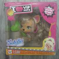 Natalia LEAH, VIP Pets, piesek do stylizacji
VIP Pets Dancer Lea