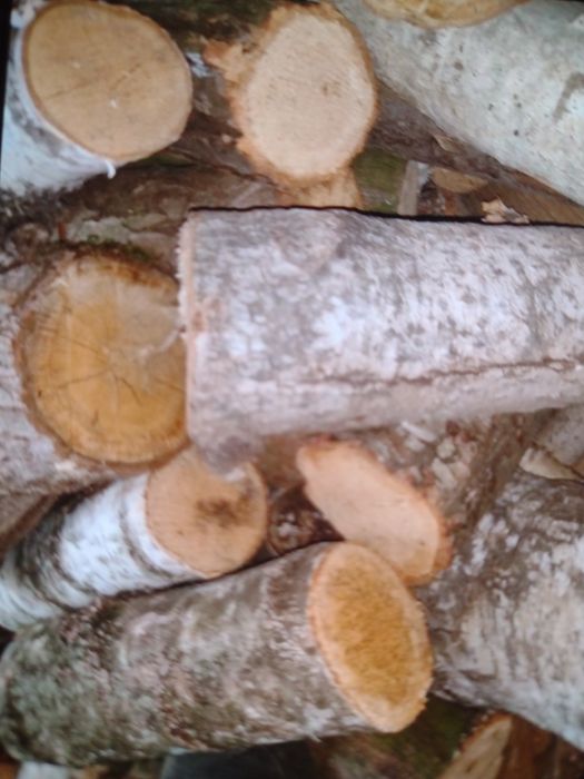 Sprzedam drewno kominkowe liściaste