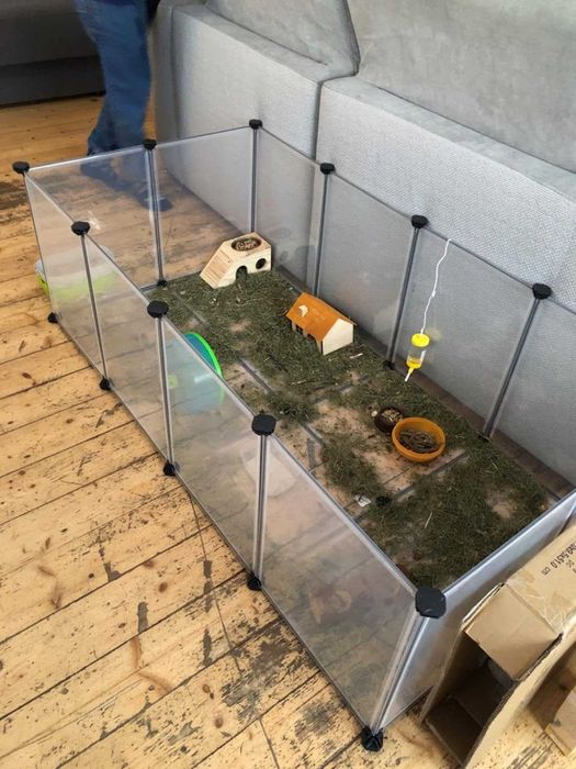 Wybieg Kojec Klatka Dla Królika Chomika Świnki PANELOWY