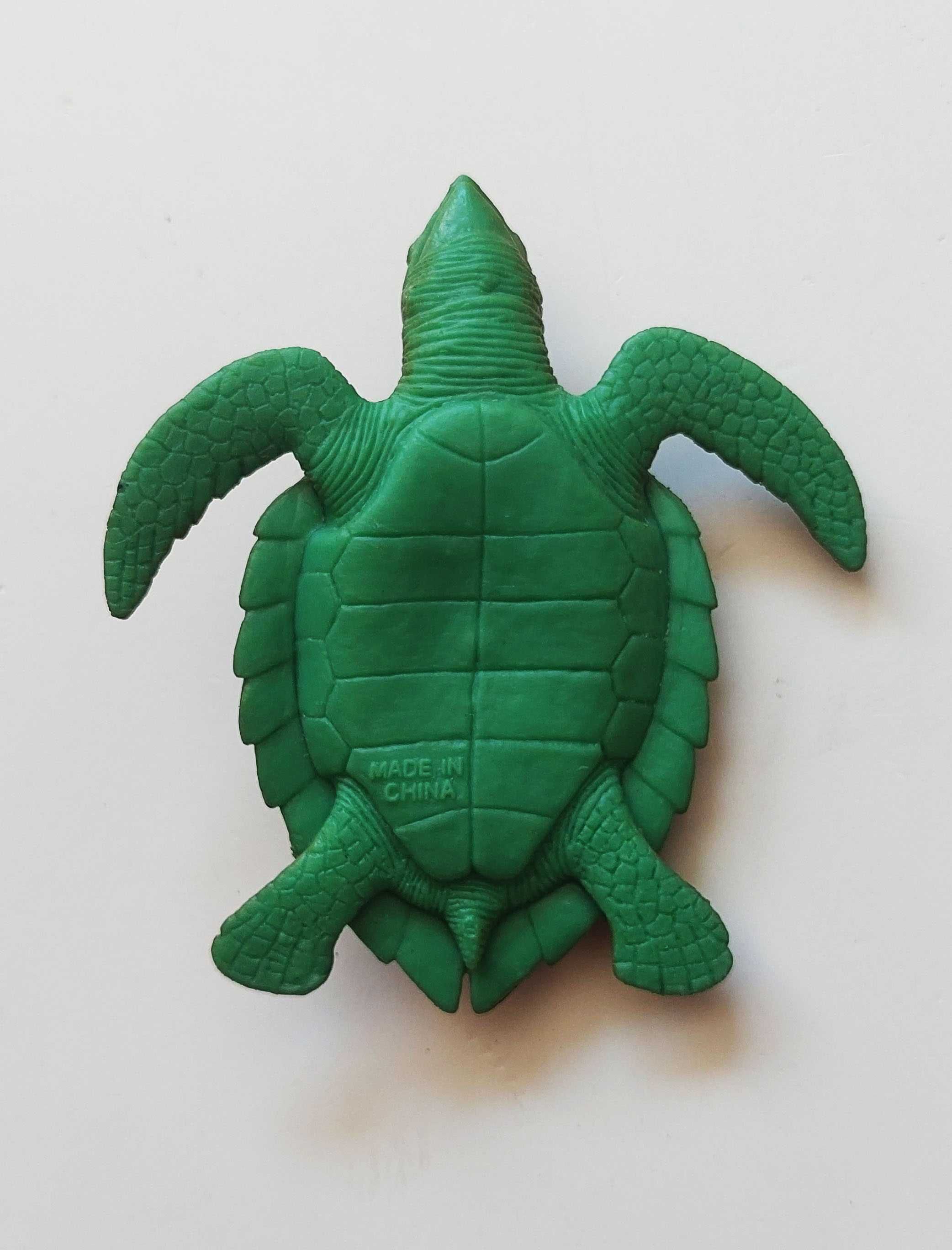 Tartaruga de plástico