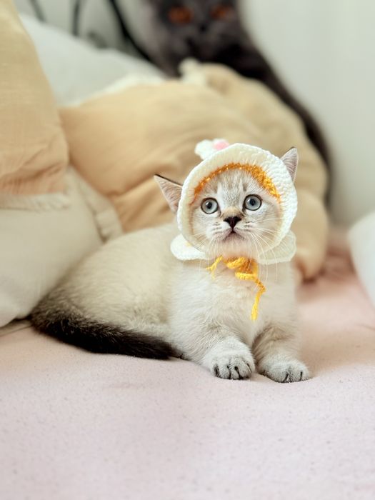 Хлопчик Манчкин