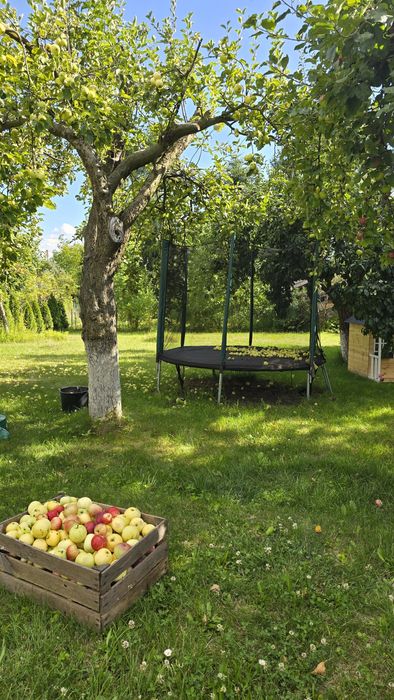 Cena po sezonie -Duża działka ROD ul. Andersa. 794m+  dużo dodatków i