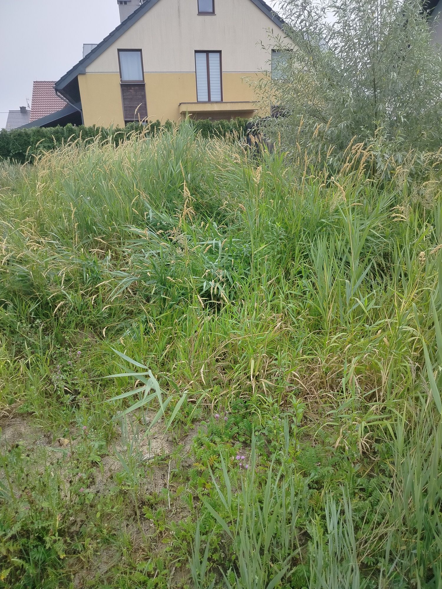 Kosiarka bijakowa  Glebogryzarka separacyjna