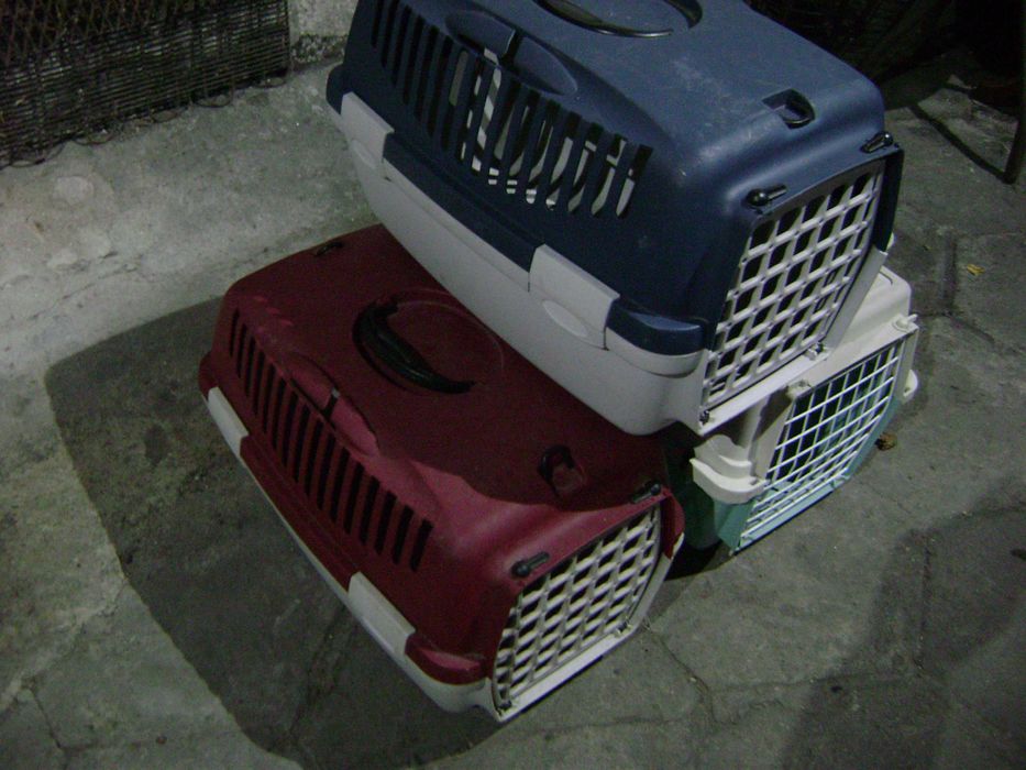 transporter dla zwierzaczków