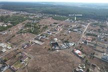 Бобриця Продаж ділянок по 25 соток з молодими соснами