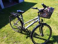 Rower damka climber