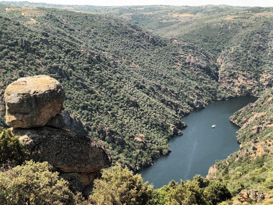 Azeite Virgem Extra MORENO — Tradição com Alma do Douro
