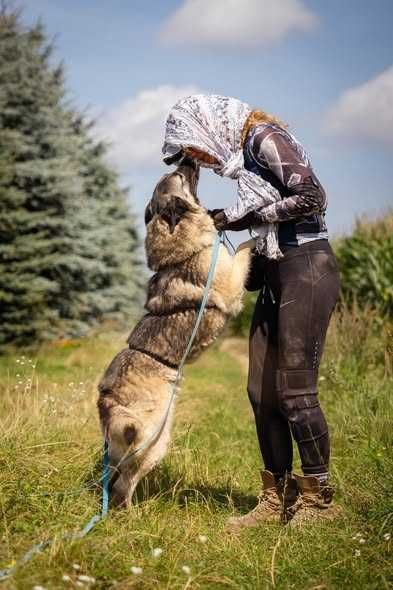 Łagodna delikatna Astra szuka domku