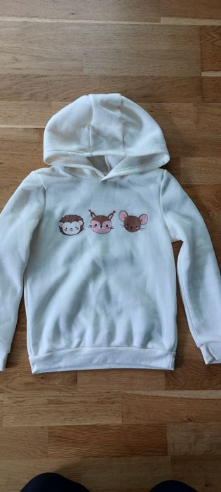 Spodnie + bluza 134