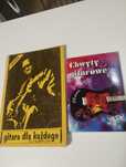Gitara dla każdego Templin chwyty akustyczna riffy