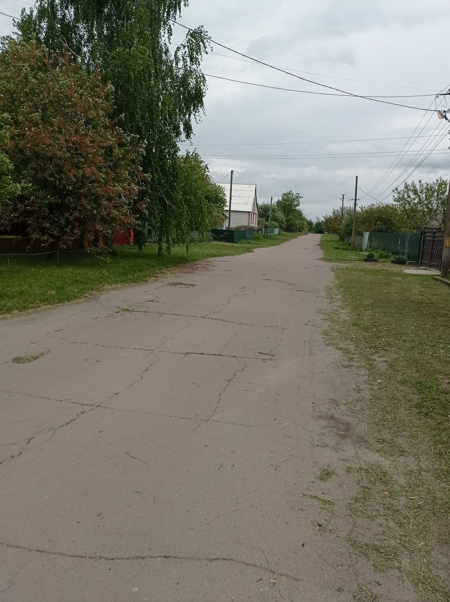 Садиба біля річки Десна. Село Слабин. Є-ВІДНОВЛЕННЯ.