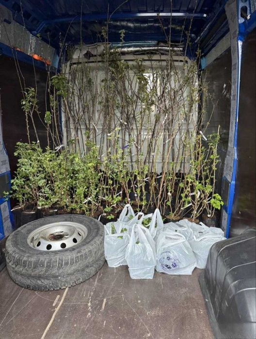 Грузовые перевозки , Грузовое такси , Вантажне таксі Харків , Доставка