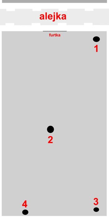 Oddam drzewa za darmo