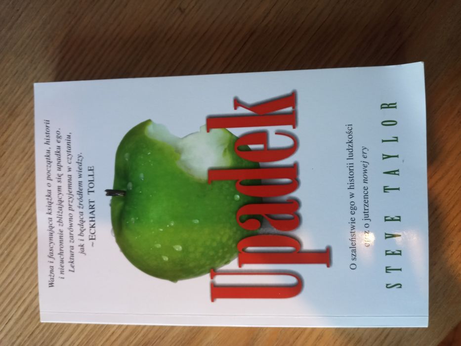 Upadek. Steve Taylor