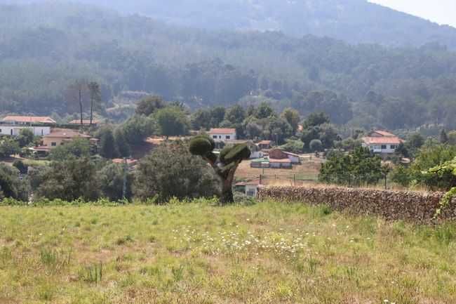 Terreno construtivo