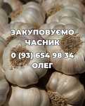 Закуповуємо часник