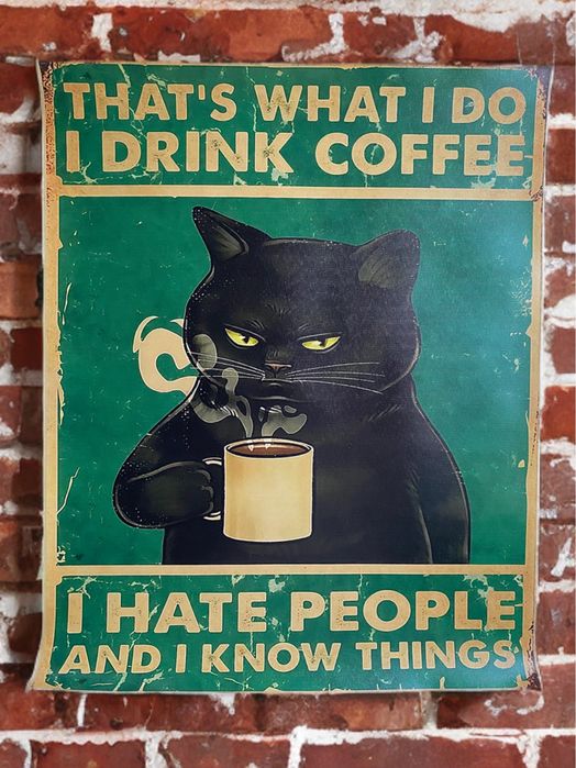 Obrazek na płótnie HD/Abstraction, Funny Motivation Cat’s (40x50)