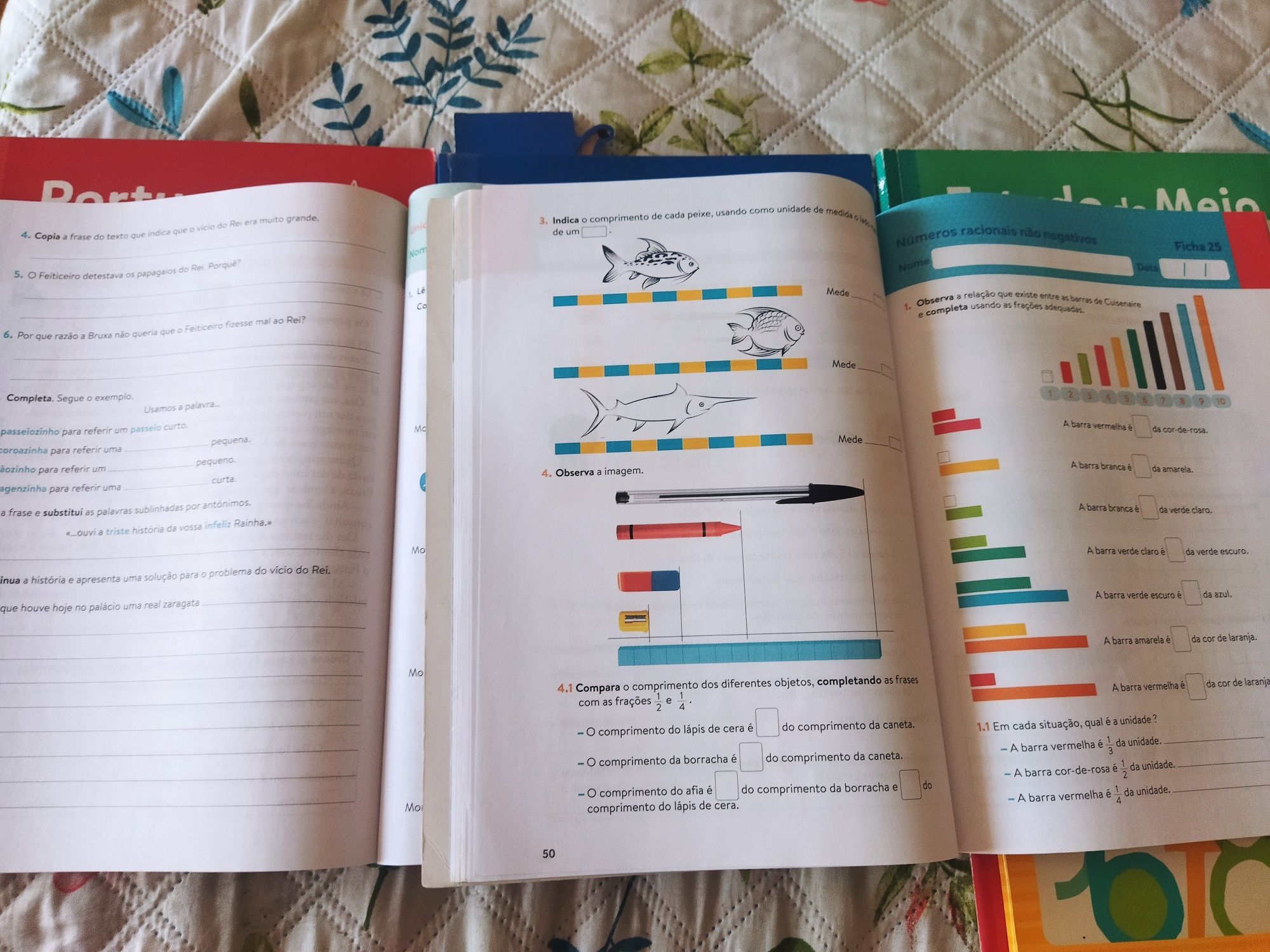 Reservado - Manual e caderno de atividades plim 2 ano