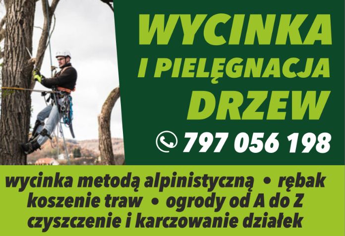 Wycinka drzew ogrody koszenie czyszczenie działek Mielenie rębak