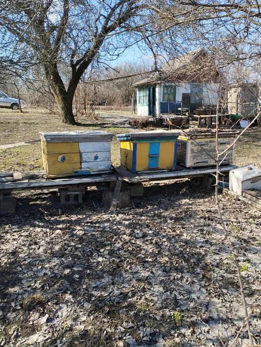 Улья, медогонка, рамки