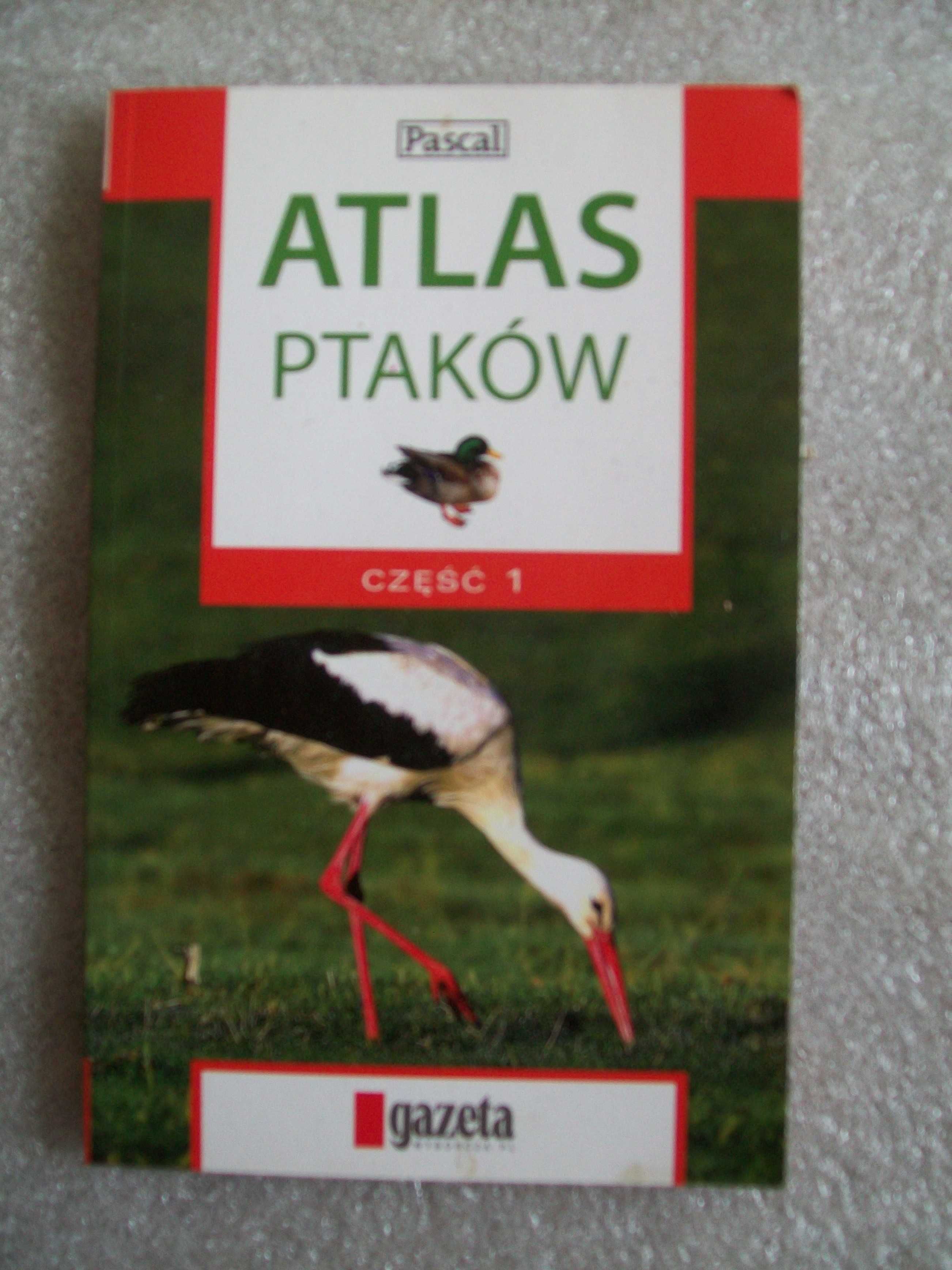 Atlas ptaków część 1.