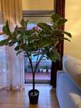 Planta artificial FEJKA