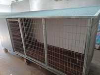 Casotas Abrigos para animais