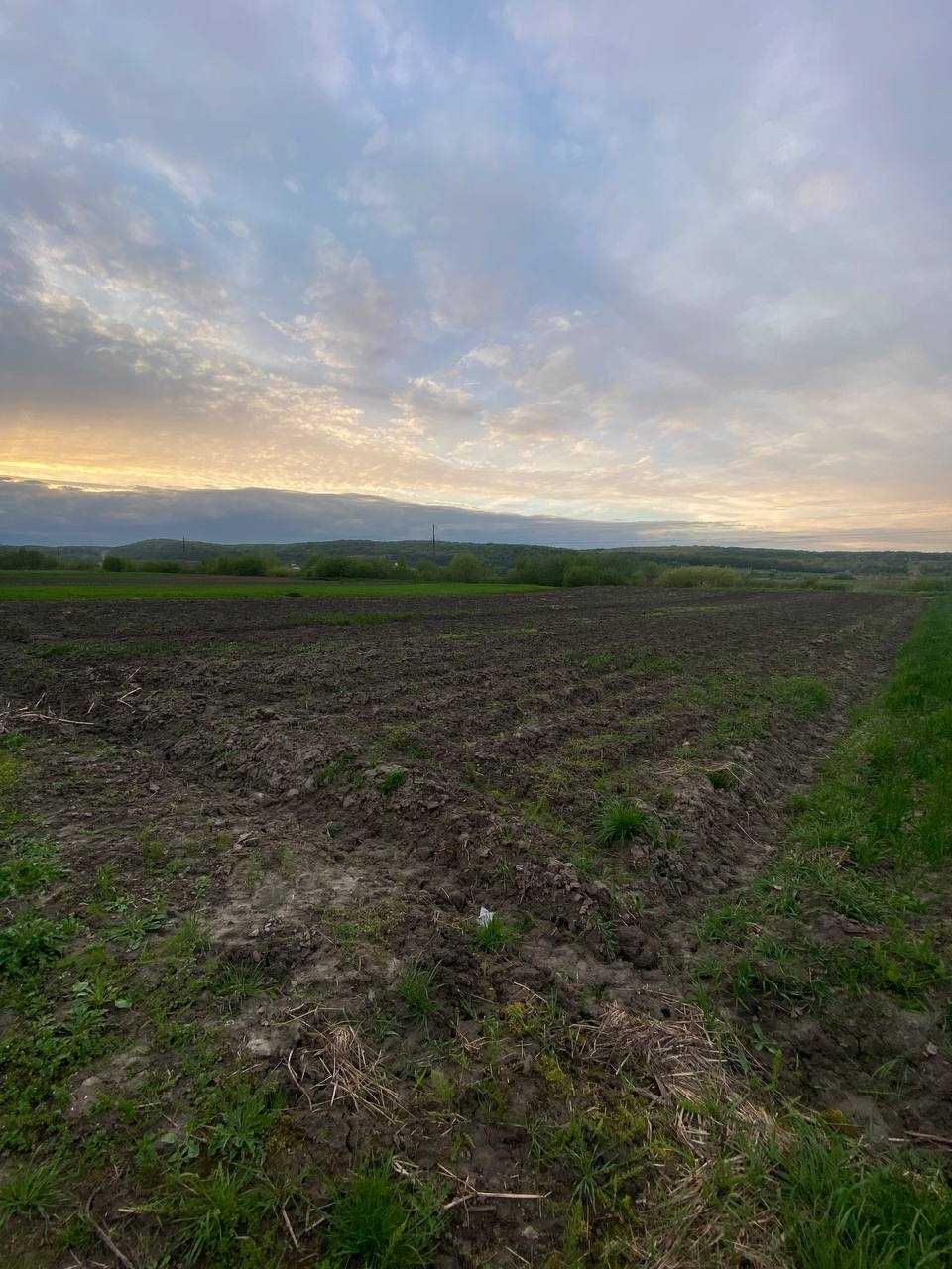 Земельна ділянка 19 соток с. Малі Грибовичі