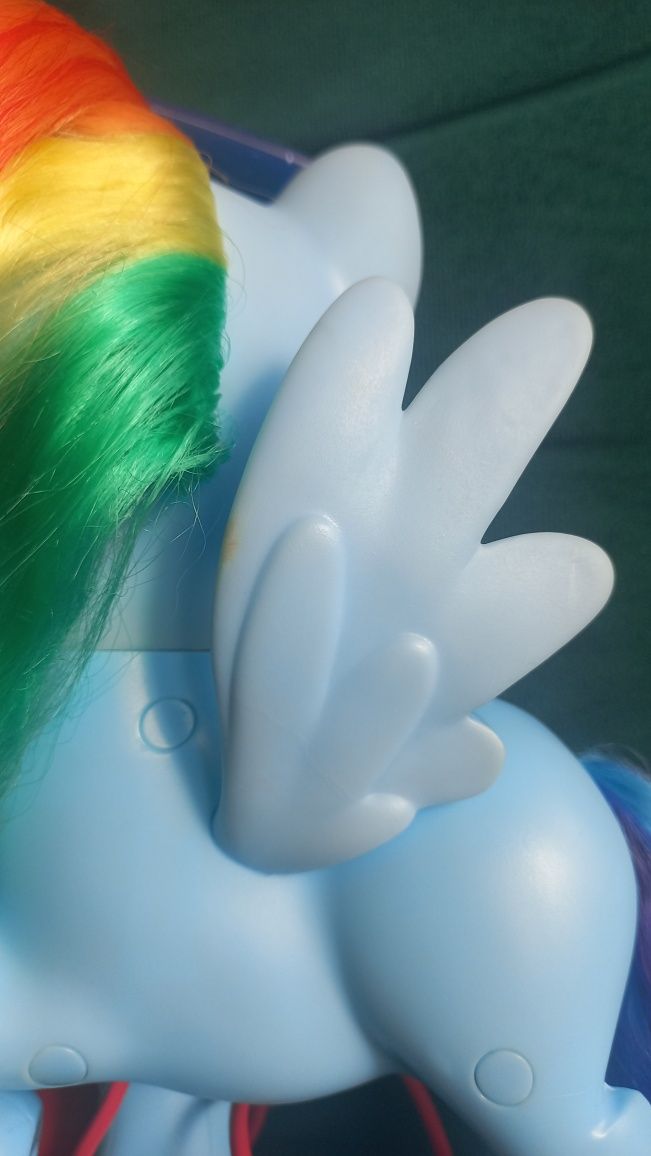 My Little Pony, śpiewająca Rainbow Dash