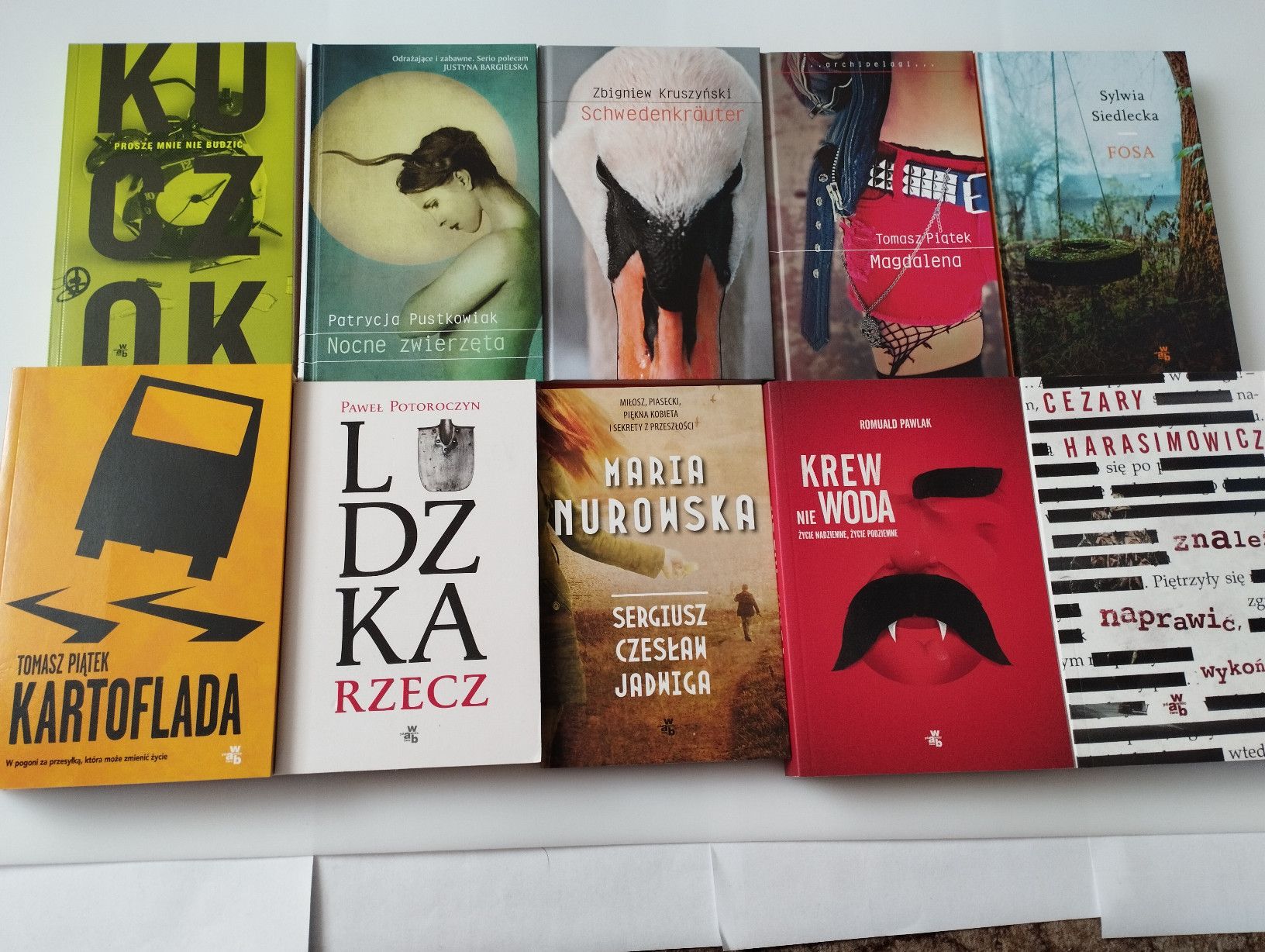 Zestaw X10 Nurowska Pustkowiak Kruszyński Siedlecka Kartoflada Tomasz