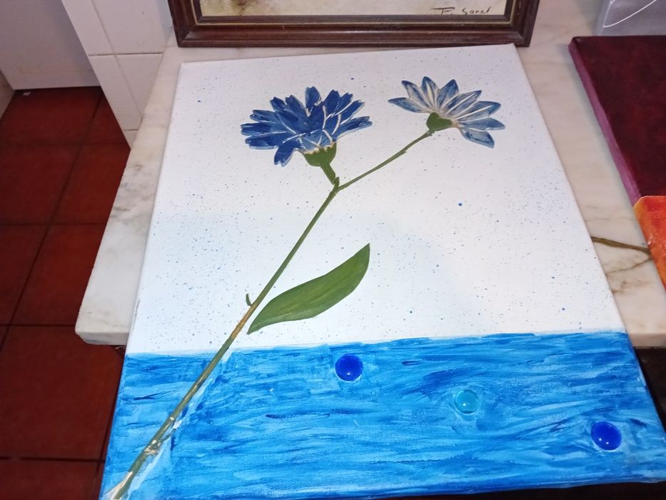 Conjunto de 4 Quadros Decorativos
