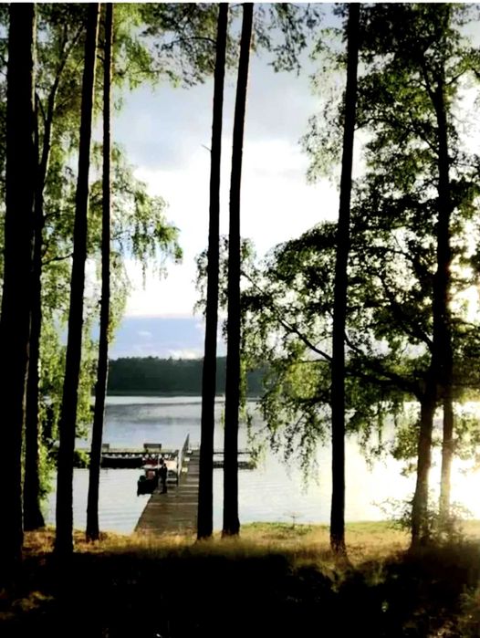 domek letniskowy Mazury Las jezioro