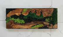Arte de parede de musgo e madeira de oliveira