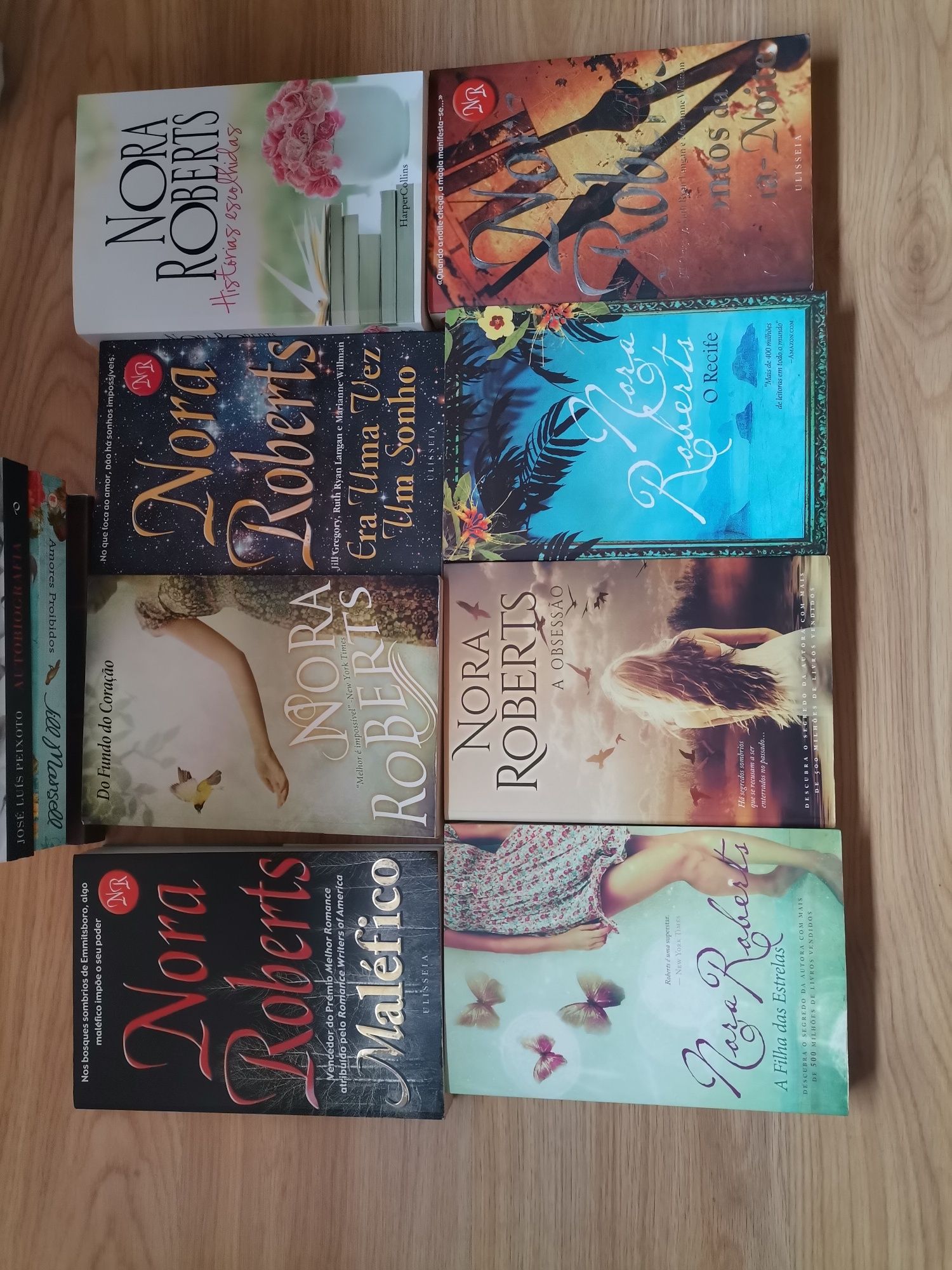 Livros (Nora Roberts, WM. Paul Young e mais)