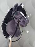 Hobby horse konik