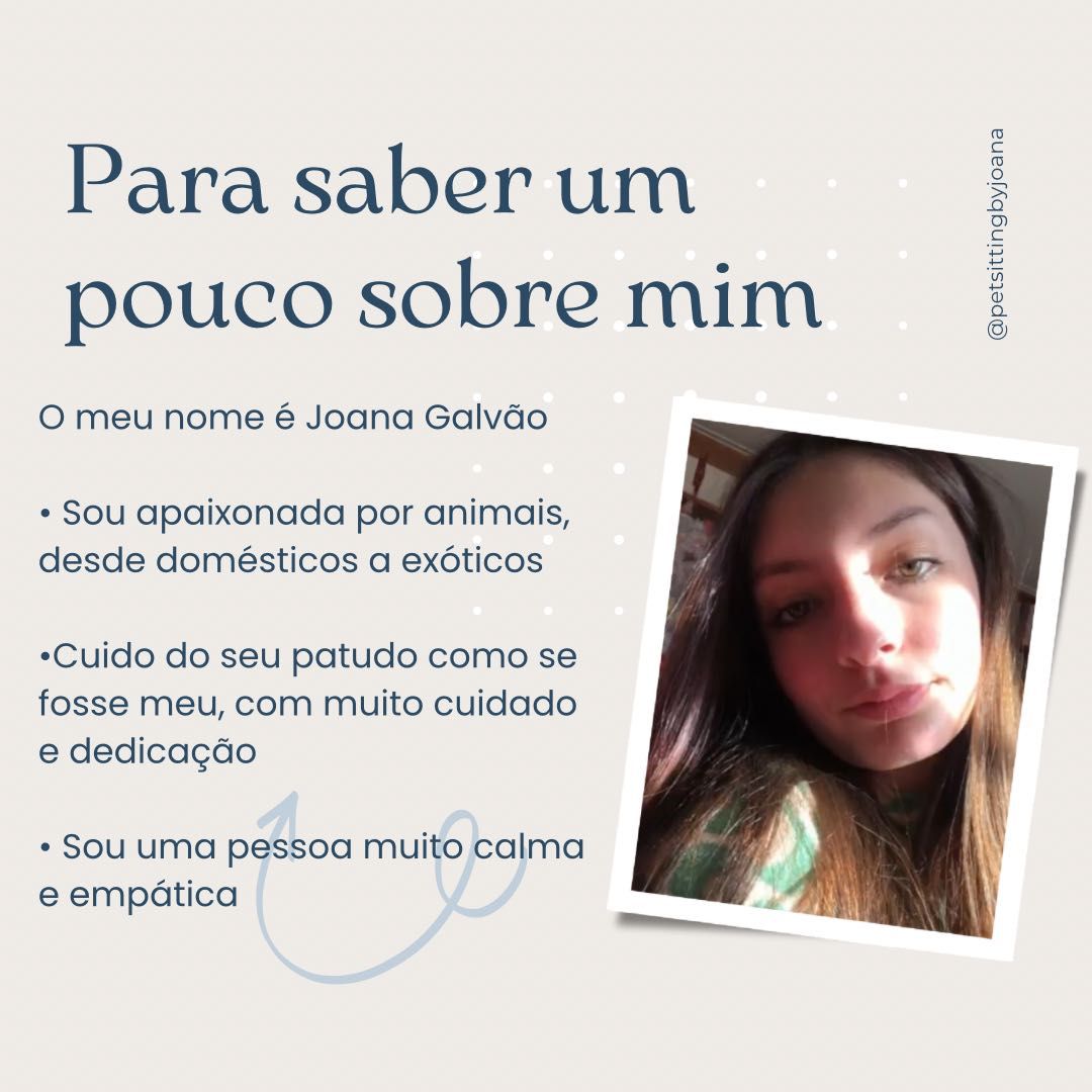 Pet Sitting/ estadias, passeios, visitas