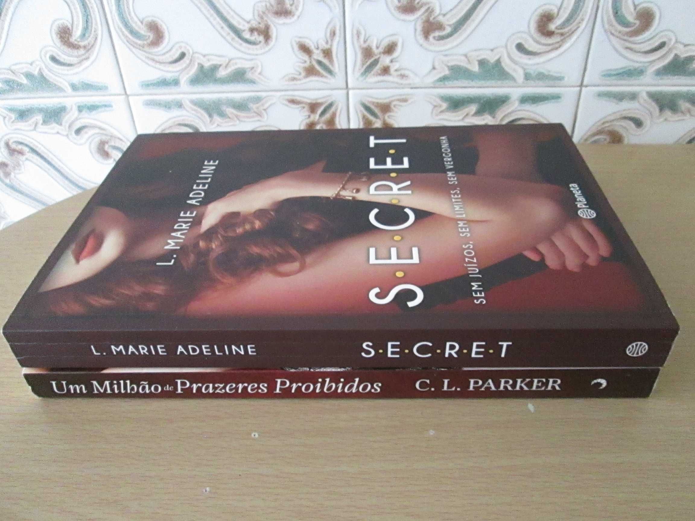 S.E.C.R.E.T. e Um Milhão Prazeres Proibidos (Oferta Portes)