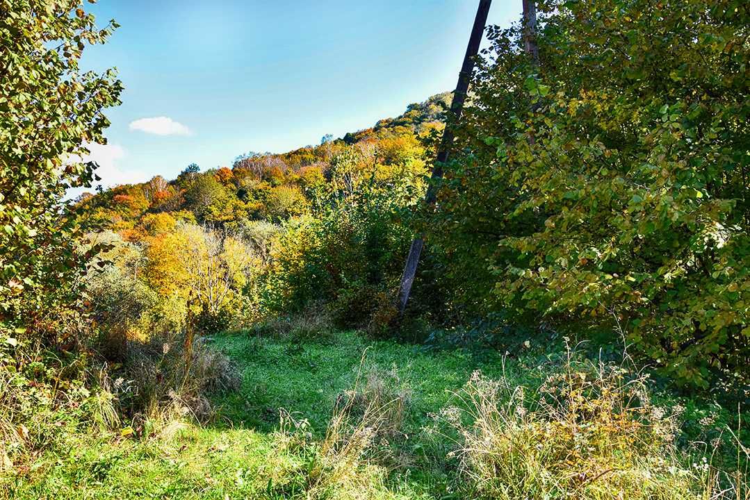 Красива ділянка в Карпатах з мінеральним джерелом