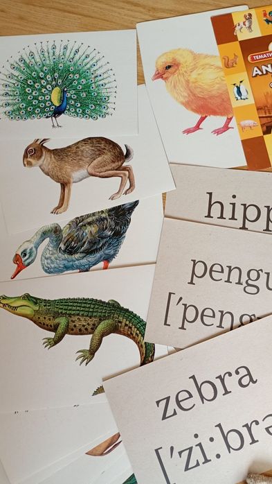 Набір розвиваючих тематичних карток. Вундеркінд з пелюшок. Домана