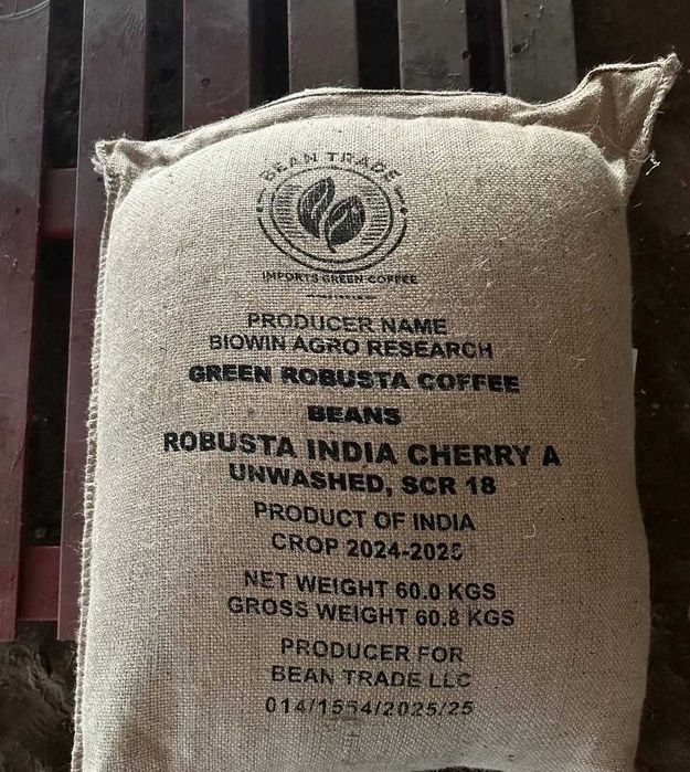 Зелена кава в зернах робуста "India Cherry" | INDIA ROBUSTA CHERRY A